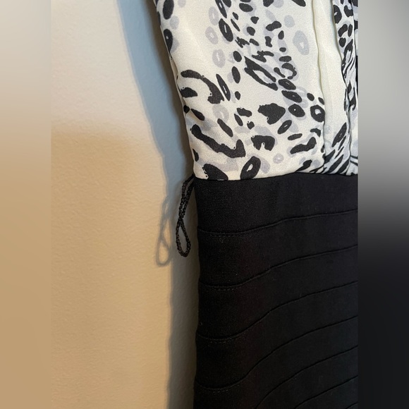 Express Leopard Dress with Belt - Picture 4 of 7